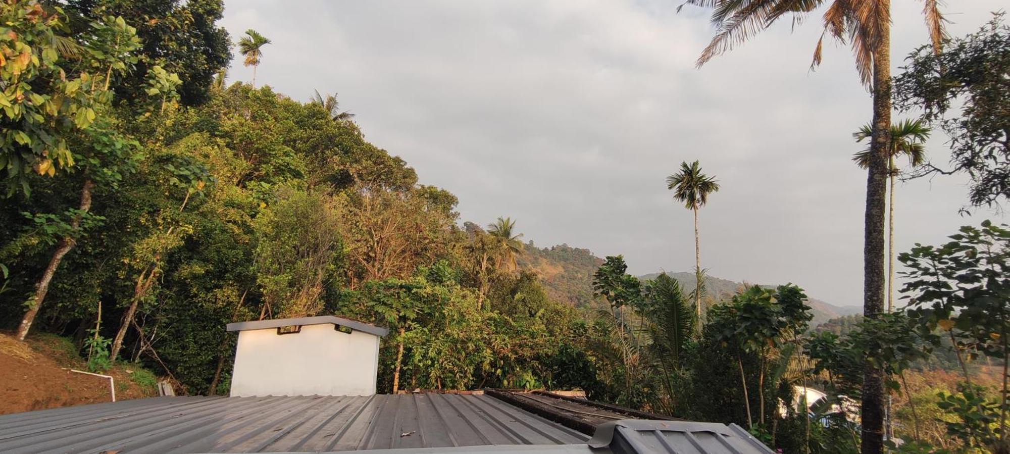 Koonamparayil Home Stay Munnar Anaviratty-Family Only Exterior foto
