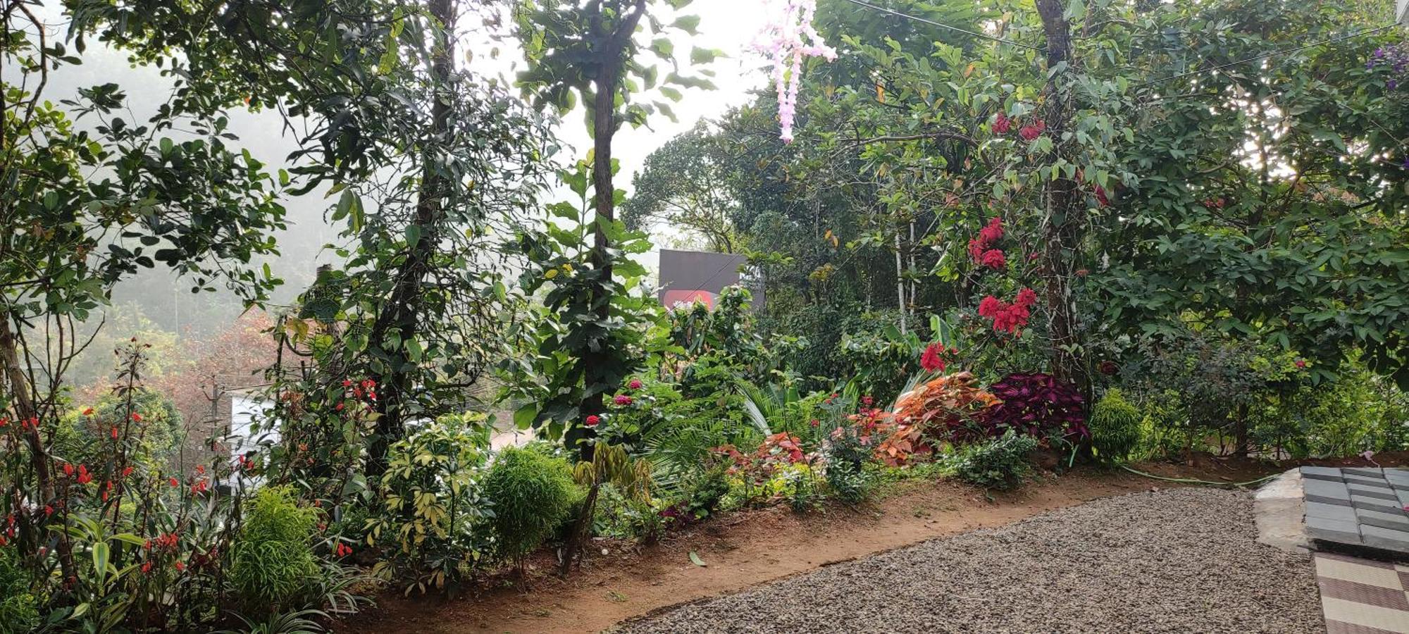 Koonamparayil Home Stay Munnar Anaviratty-Family Only Exterior foto