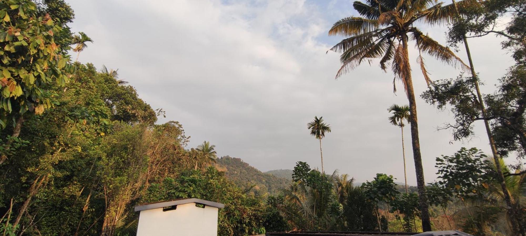 Koonamparayil Home Stay Munnar Anaviratty-Family Only Exterior foto