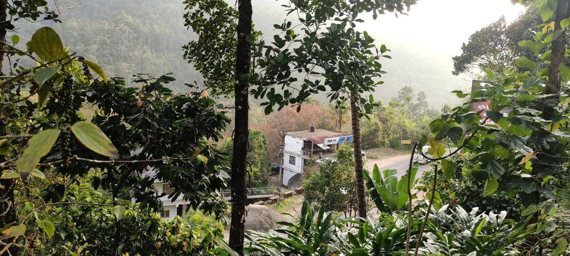 Koonamparayil Home Stay Munnar Anaviratty-Family Only Exterior foto